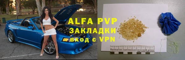 сатива Надым