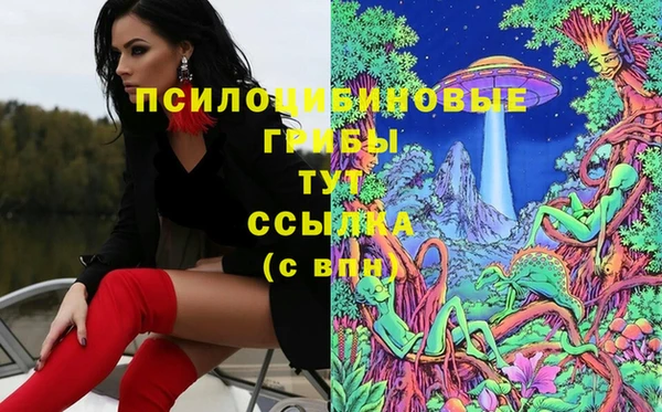 каннабис Михайловка