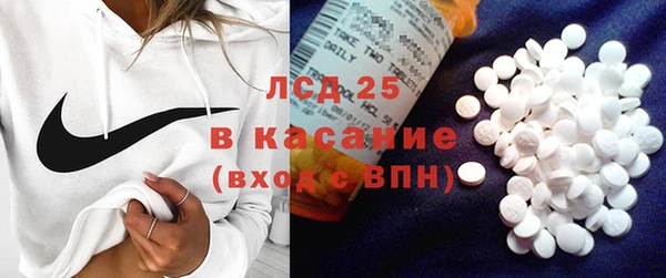 сатива Надым