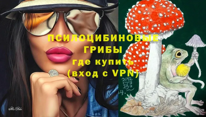 Псилоцибиновые грибы GOLDEN TEACHER Уссурийск